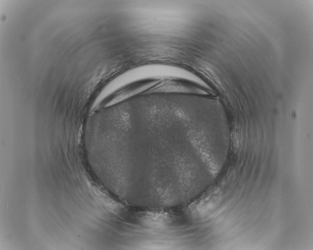 X0000089430458200706291318