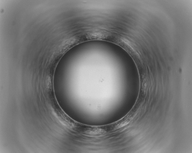 X0000089430459200706291318