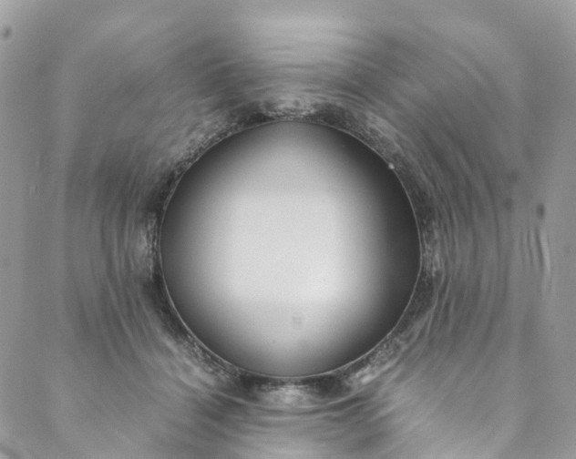 X0000089430460200706291318