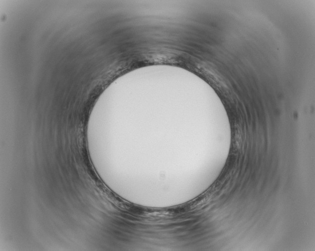 X0000089430461200706291318