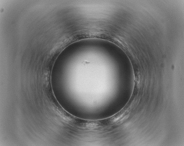 X0000089430462200706291318