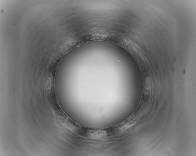 X0000089430463200706291318