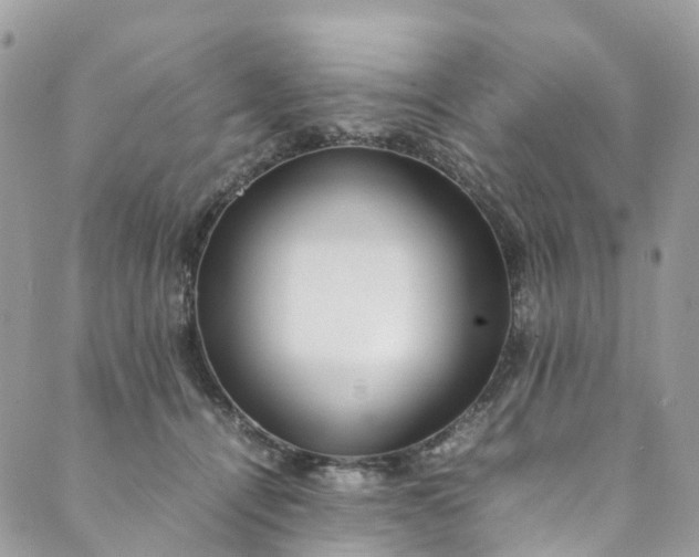 X0000089430464200706291318