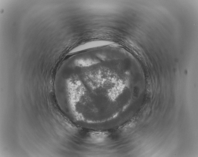 X0000089430465200706291318