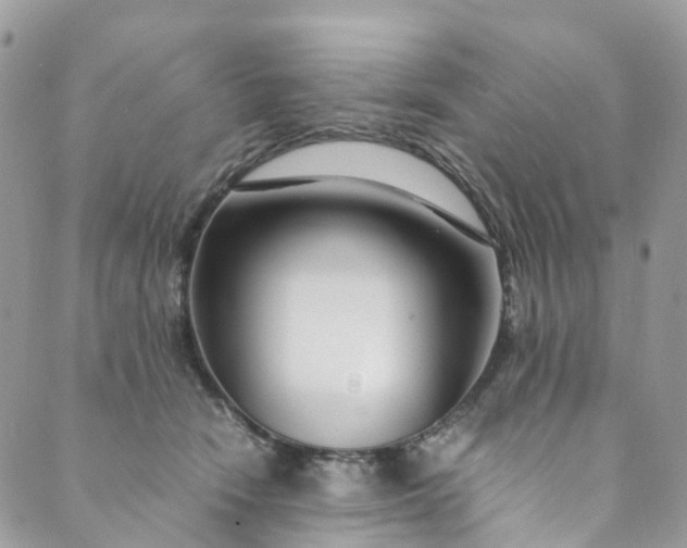 X0000089430466200706291318