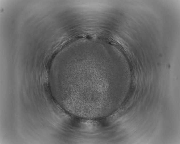 X0000089430467200706291318