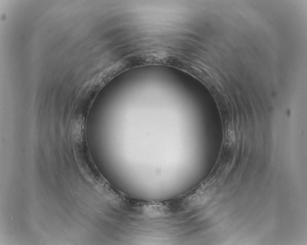 X0000089430468200706291318