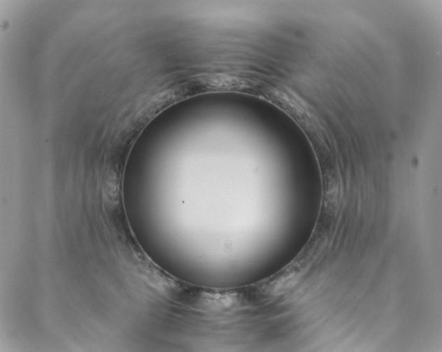 X0000089430469200706291318