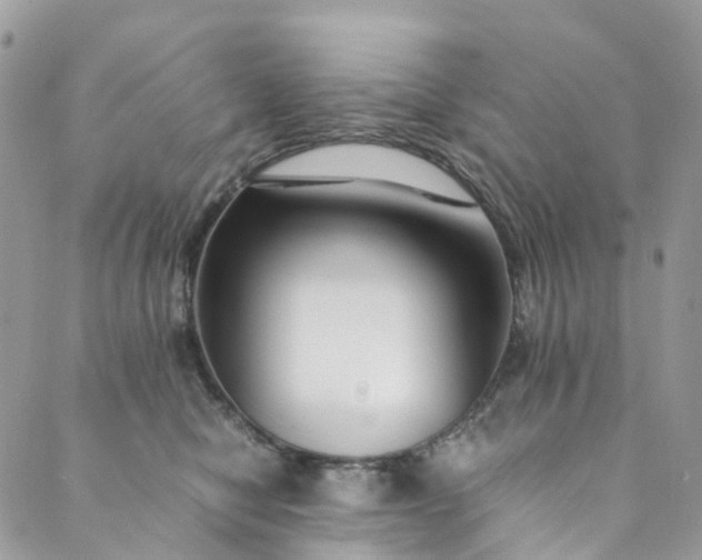 X0000089430470200706291318