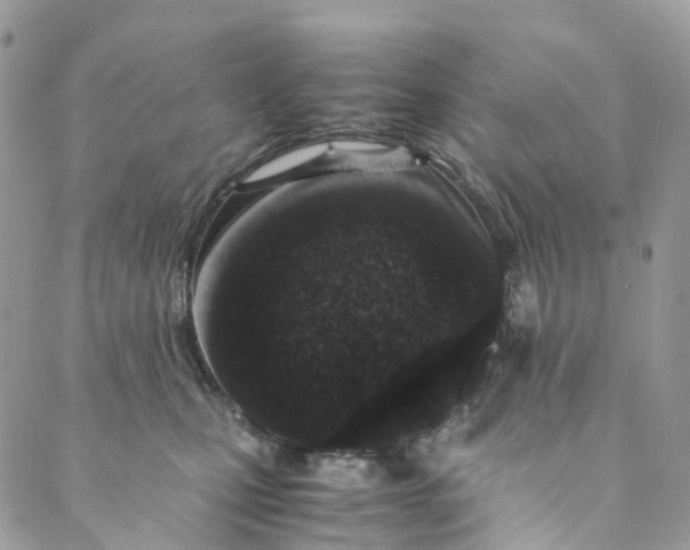 X0000089430471200706291318