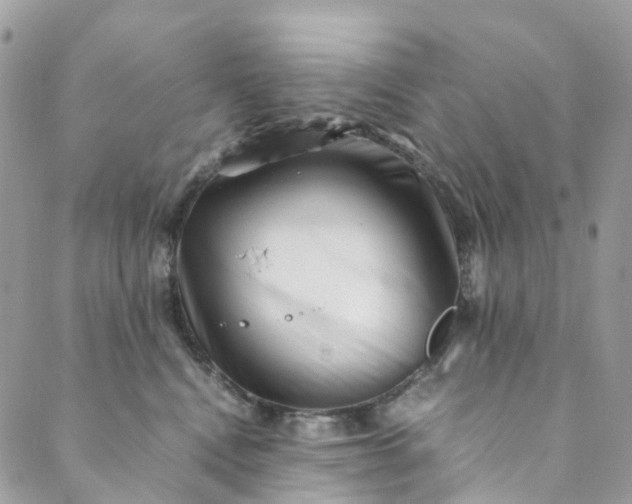 X0000089430472200706291318