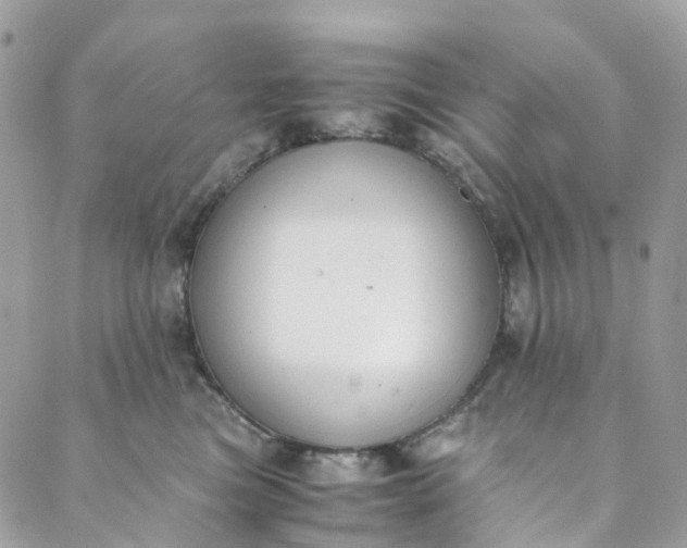 X0000089430473200706291319