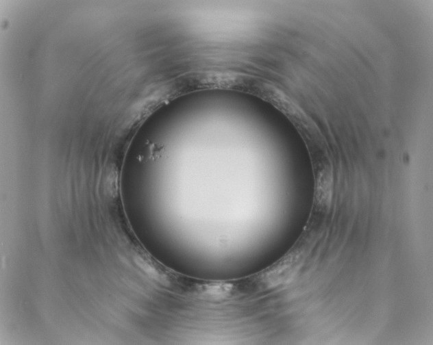 X0000089430474200706291319