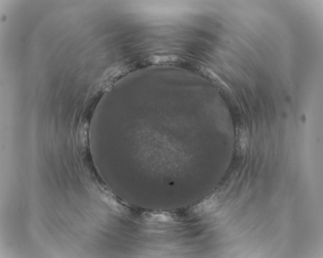 X0000089430475200706291319