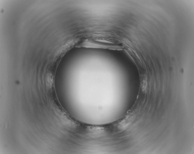 X0000089430476200706291319