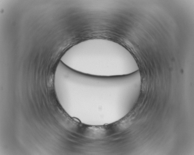 X0000089430477200706291319