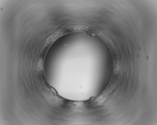 X0000089430478200706291319