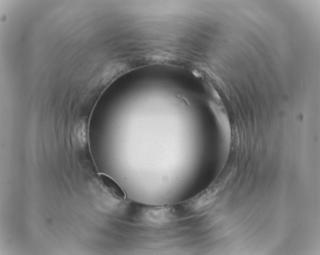 X0000089430479200706291319