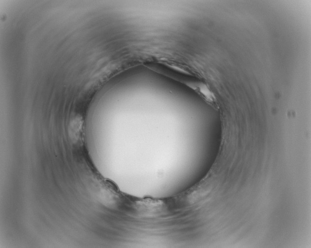 X0000089430480200706291319