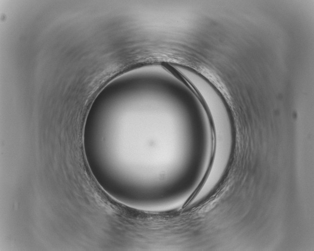 X0000089430481200706291318