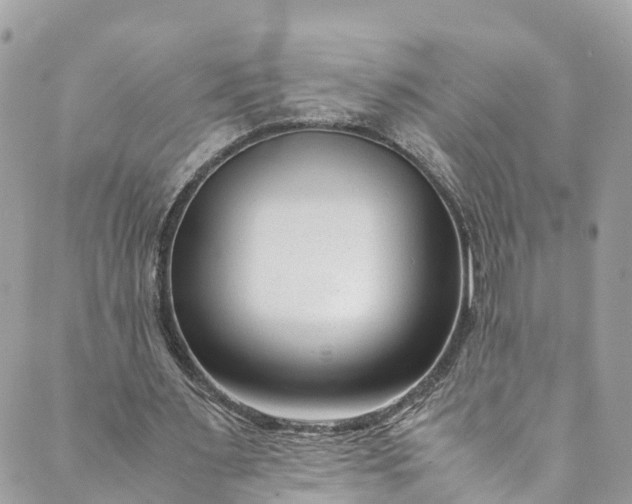 X0000089430483200706291318