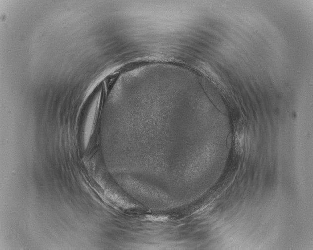 X0000089430484200706291318