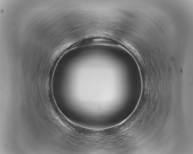 X0000089430485200706291318