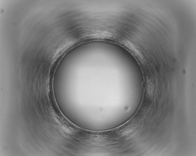 X0000089430486200706291318