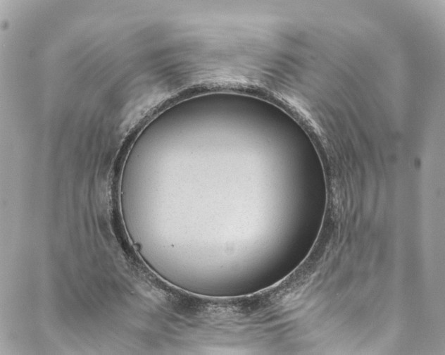 X0000089430487200706291318