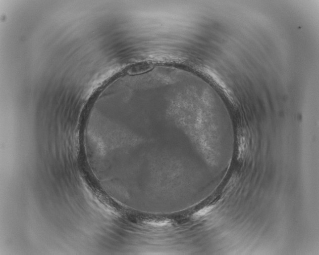 X0000089430488200706291318