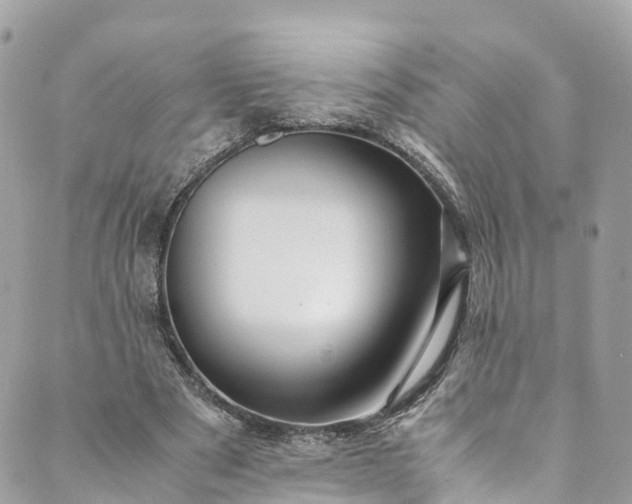 X0000089430489200706291318