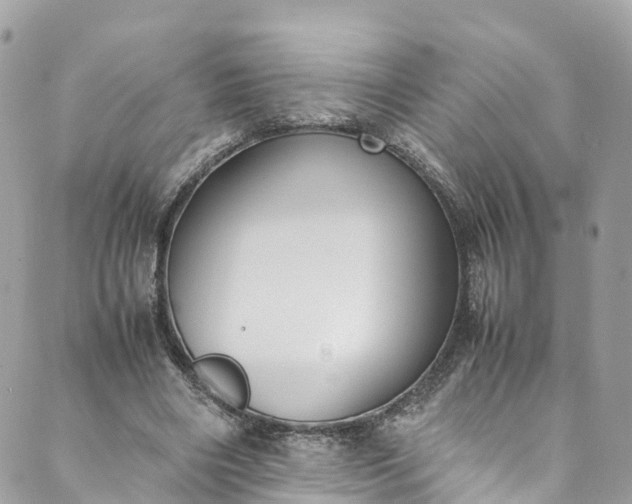 X0000089430490200706291318