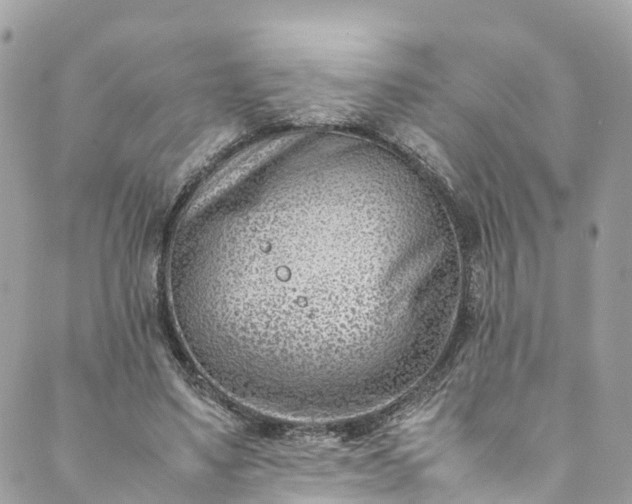 X0000089430491200706291318