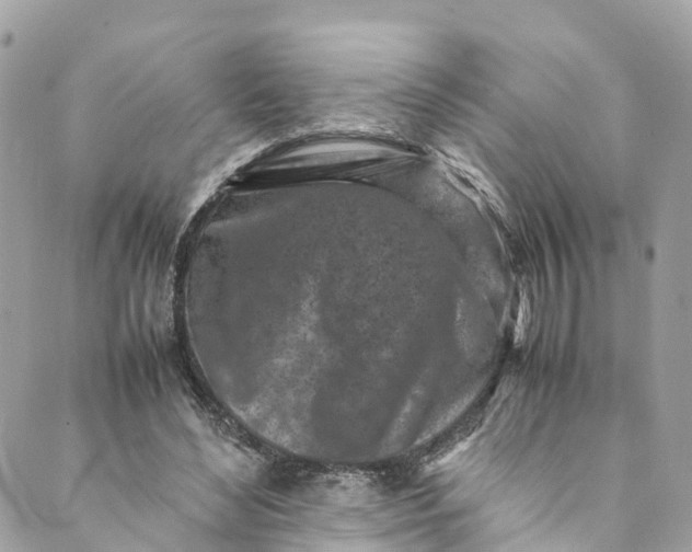 X0000089430492200706291318