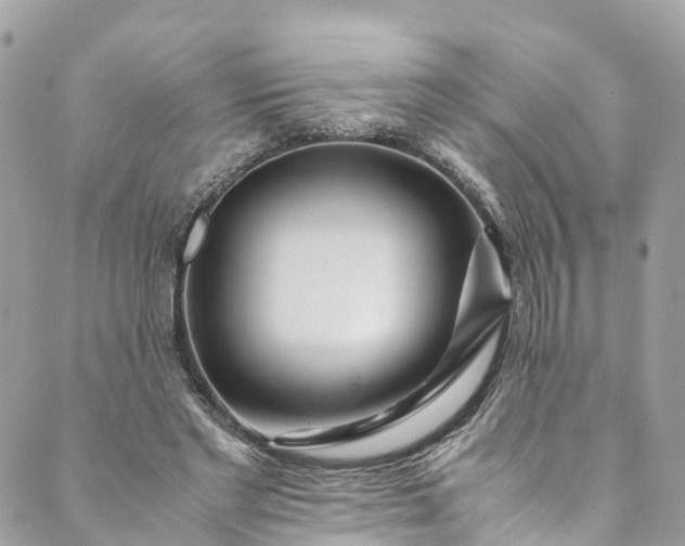 X0000089430493200706291318