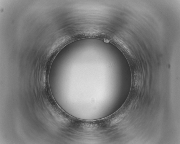 X0000089430494200706291318