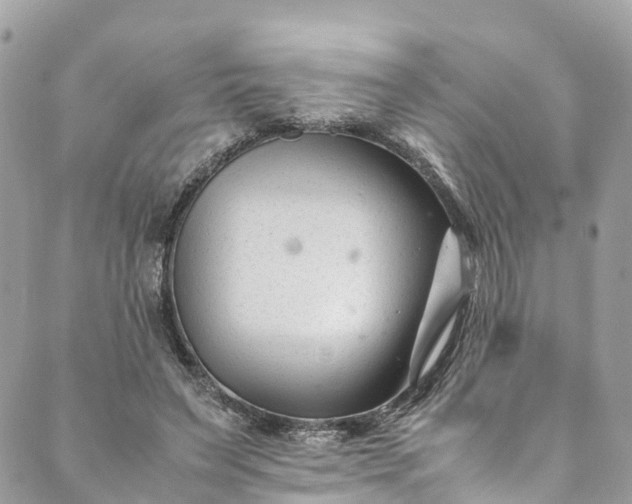 X0000089430495200706291318