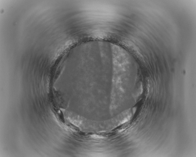 X0000089430496200706291318