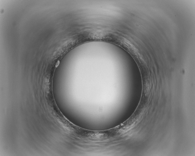 X0000089430497200706291318