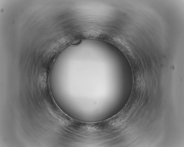 X0000089430498200706291318