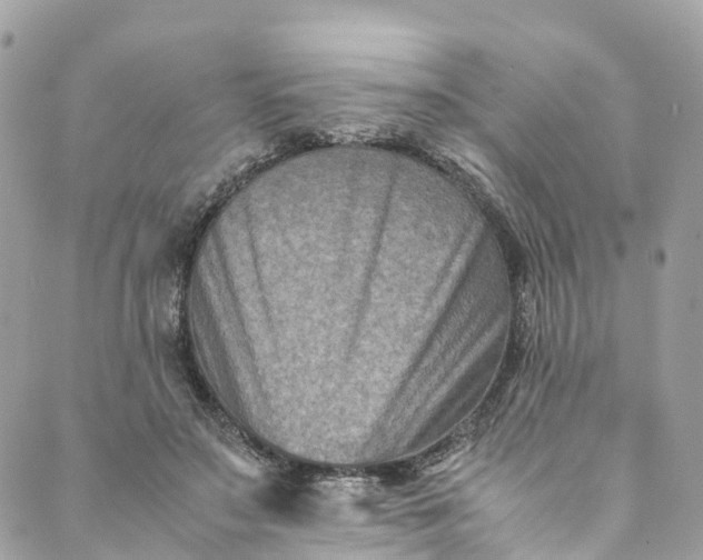 X0000089430499200706291318