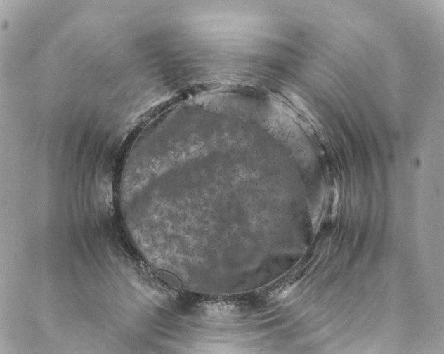 X0000089430500200706291318