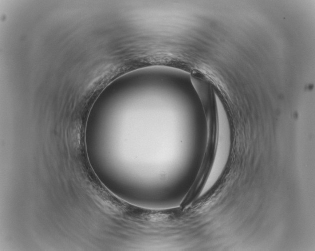 X0000089430501200706291318