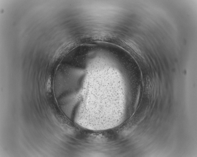 X0000089430502200706291317