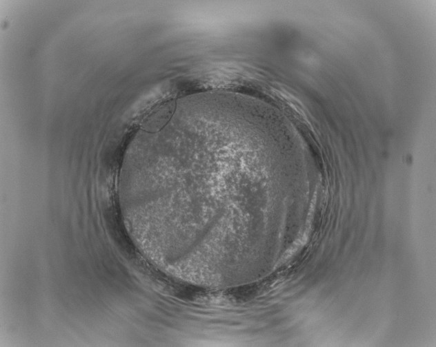 X0000089430503200706291317