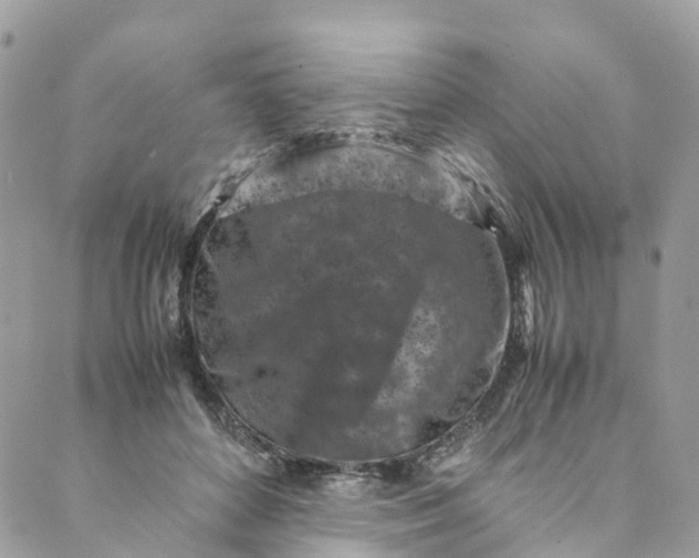 X0000089430504200706291317