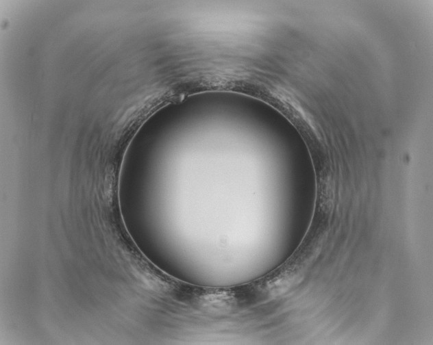 X0000089430505200706291317