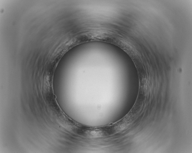 X0000089430506200706291317