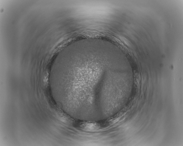 X0000089430507200706291317