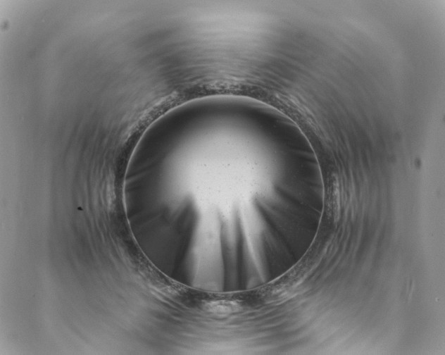 X0000089430508200706291317